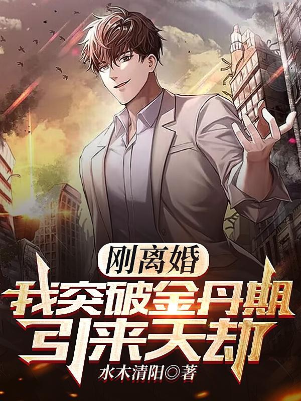 刚离婚,我突破金丹期,引来天劫