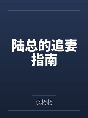 陆总的追妻指南